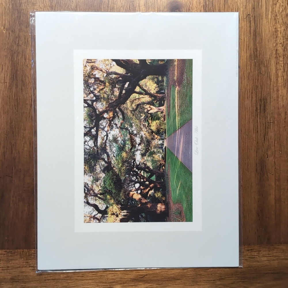 NWT K. Buckner Brookgreen Gardens 11x14 Print